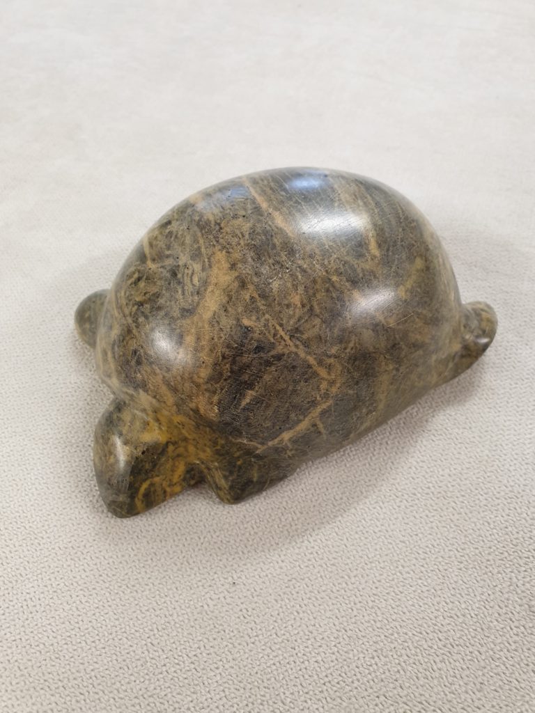Tortue

