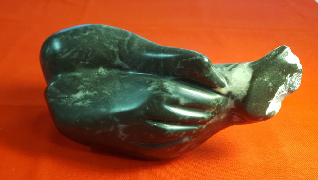 Canard endormi
